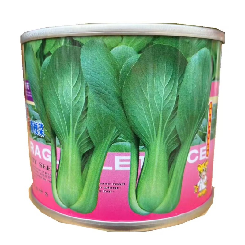 油绿8号青梗菜种子100克罐翠绿耐热上海青耐雨水油菜种子