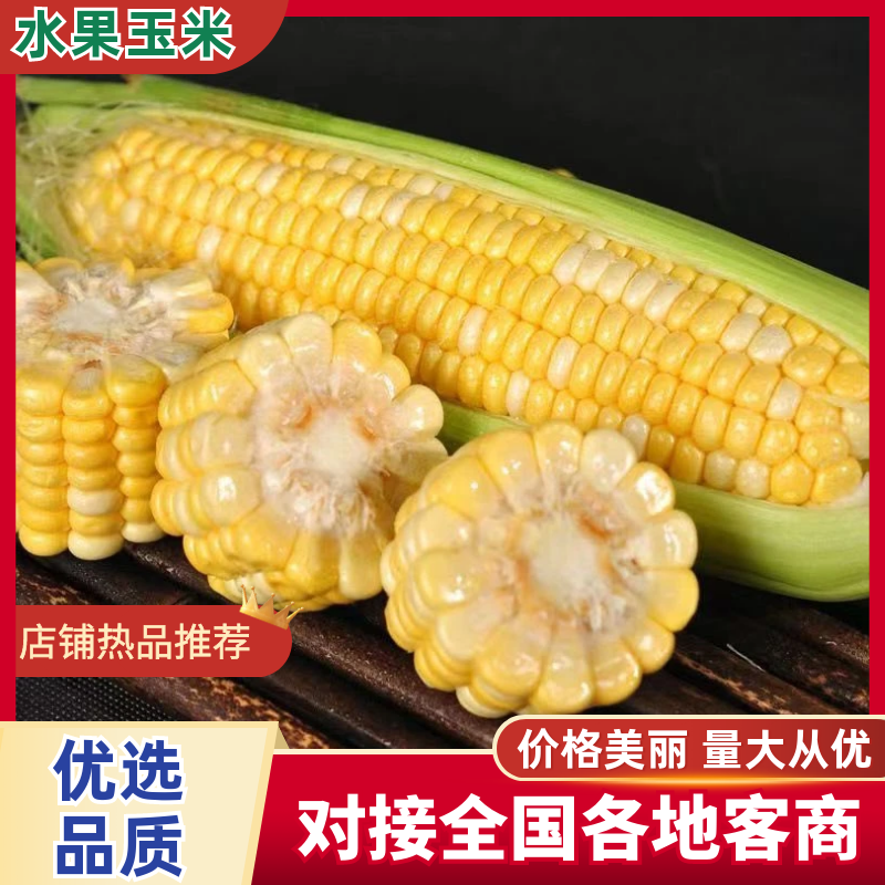 水果玉米大量上市，产地直发，品质保障，量大从优