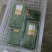 【推荐】甘肃精品沙葱货源充足产地直发欢迎来电