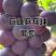 藤稔葡萄精品乒乓球葡萄对接电商市场商超视频看货