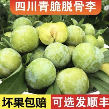 脱骨李一件代‘’发精品李子品类齐全可对接电商市场商超