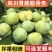 脱骨李一件代‘’发精品李子品类齐全可对接电商市场商超