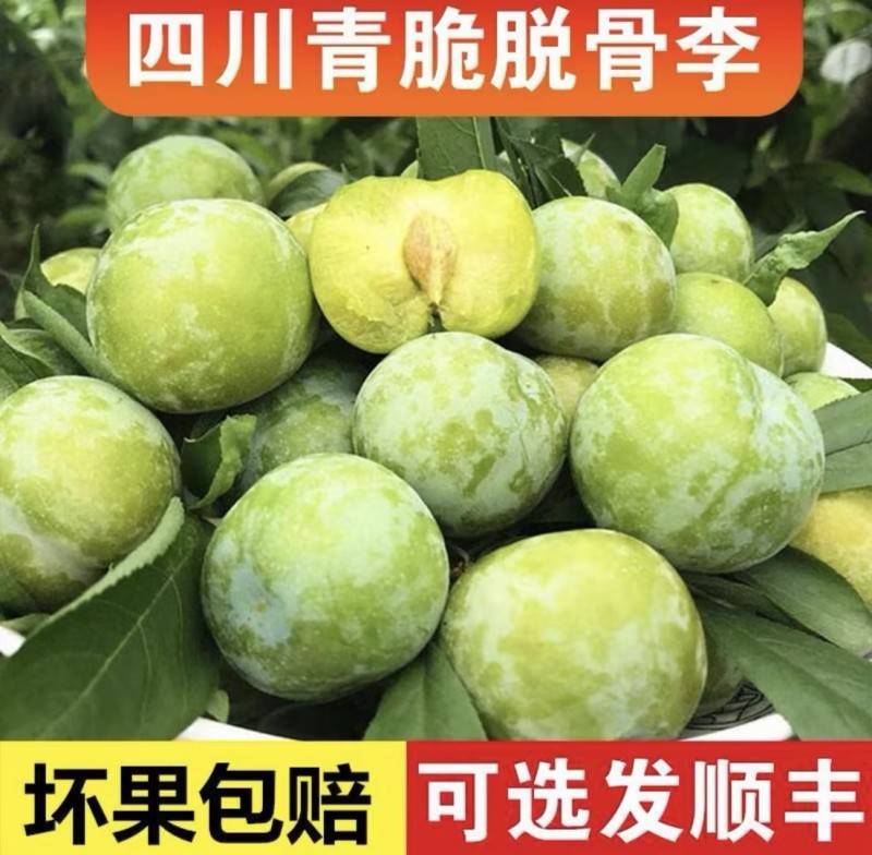 【一件代-发】脱骨李青脆李子产地直发可对接全国电商市场