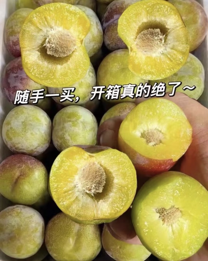 【一件代-发】脱骨李青脆李子产地直发可对接全国电商市场