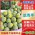 【一件代-发】脱骨李青脆李子产地直发可对接全国电商市场