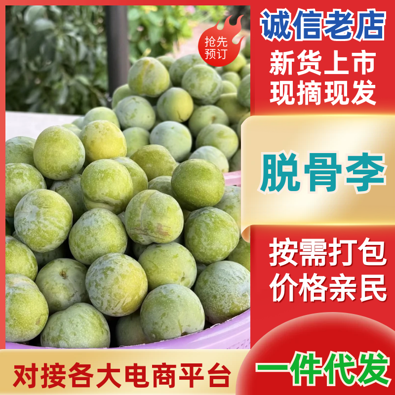 【一件代-发】脱骨李青脆李子产地直发可对接全国电商市场