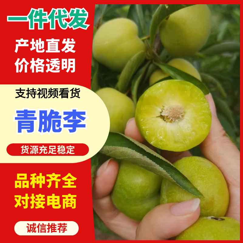 四川青脆李脱骨李蜂糖李半边红支持电商一件代发