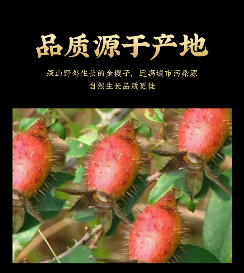 金樱子新货金樱子江西金樱子无硫泡酒赔十大货批发零