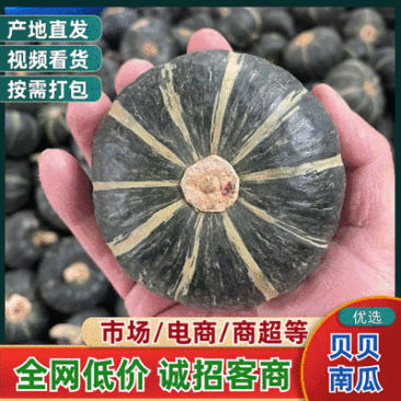 湖北宜城精选贝贝南瓜产地直供质量保证货源充足全国发货