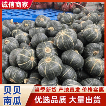 精品贝贝南瓜湖北产地直发质量保证一手货源对接商超