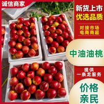 2026湖北随县白肉油桃一手货源中游油桃各种品类都有