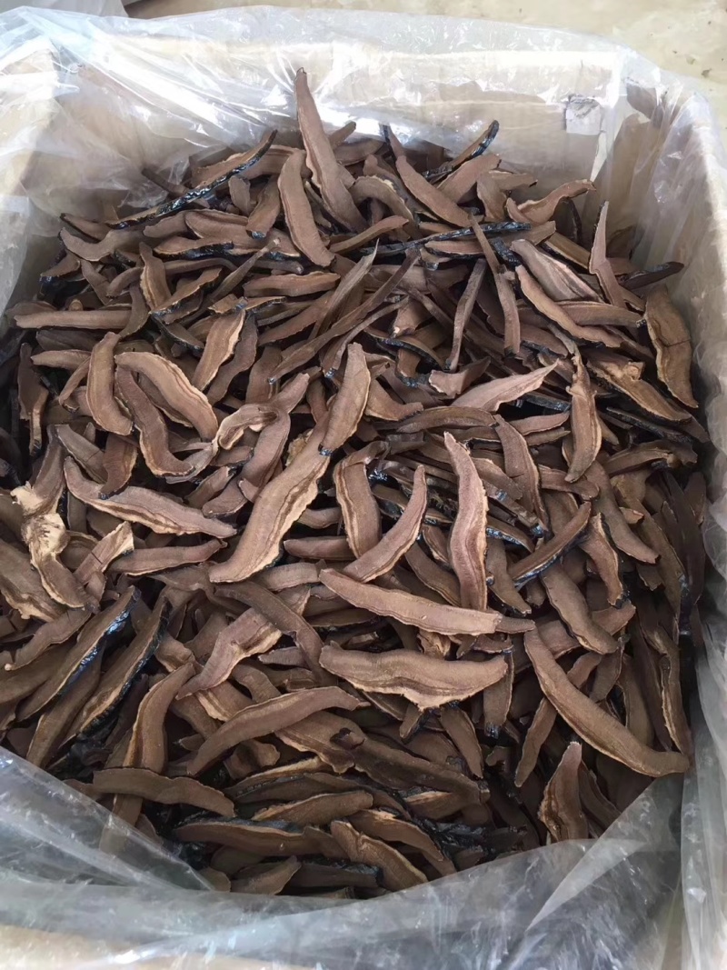 原产地灵芝切片干货代用茶原料灵芝片散装量大从优