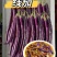 安徽精品线茄/茄子🍆/产地直发量大从优货源充足