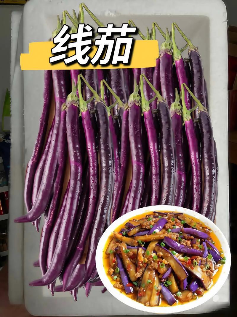 安徽精品线茄/茄子🍆/产地直发量大从优货源充足