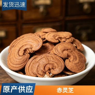赤灵芝干货赤芝散装大货初级农产品泡茶煲汤产地直发