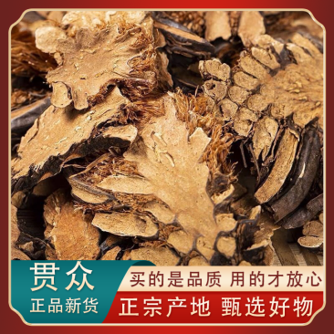 贯众新货贯众绵马贯众东北贯众大货批发零售假一赔十