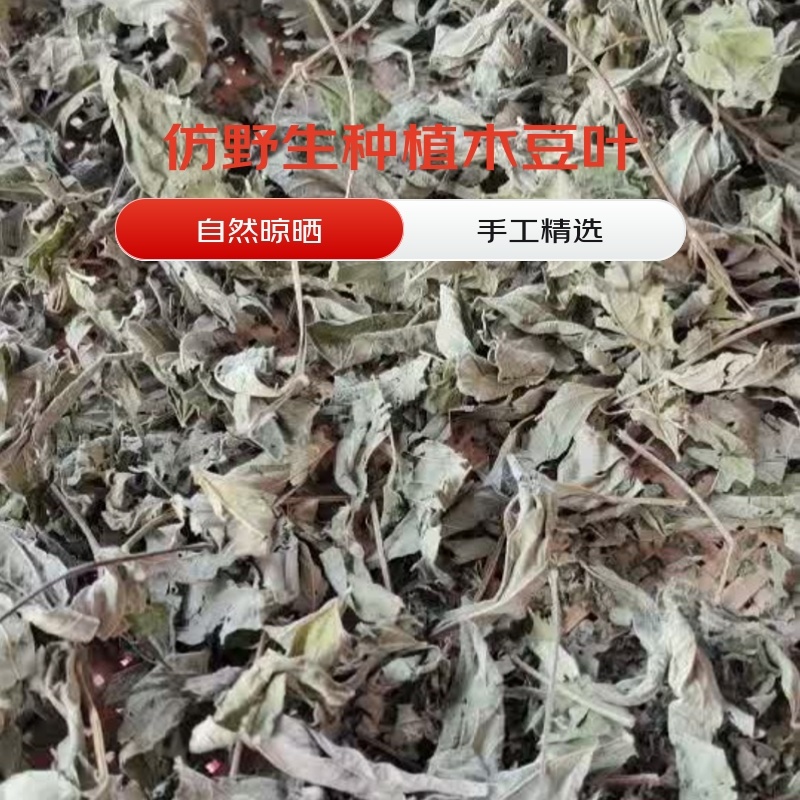 泸州市杏林小二绿色生活馆