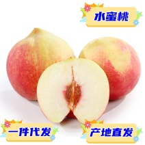 专业供应链一件代发陕西水蜜桃子供应电商各大平台直播等