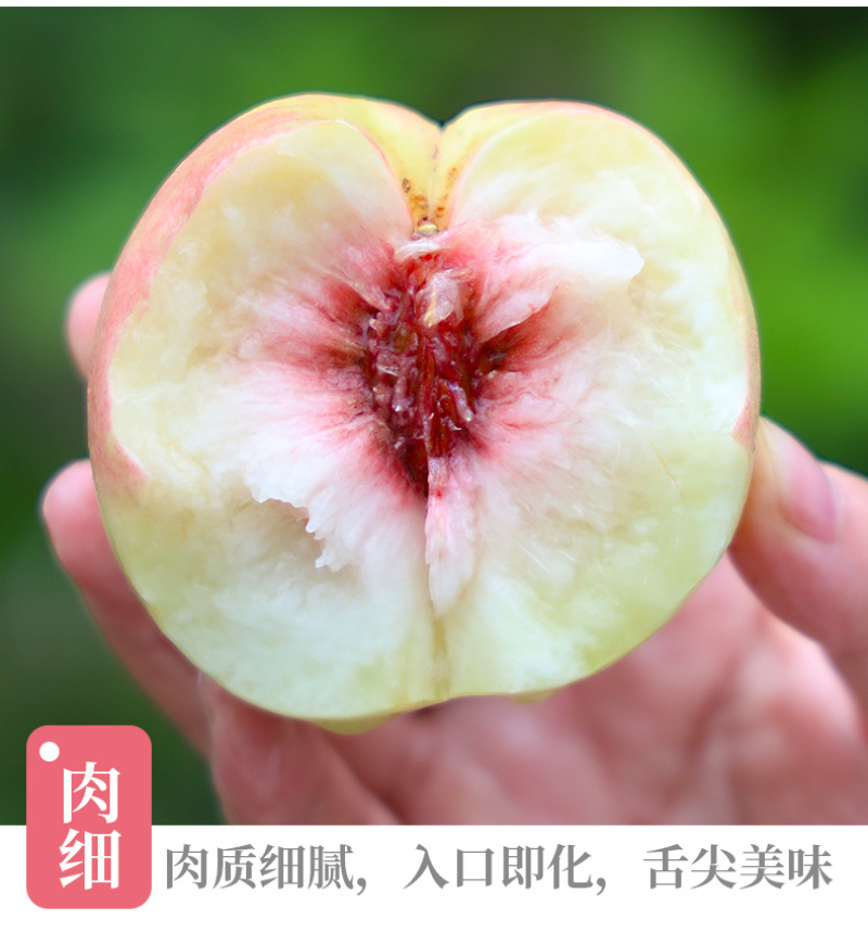 专业供应链一件代发山西水蜜桃子供应电商各大平台直播等