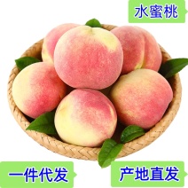 陕西水蜜桃子一件代发电商供应链对接各大电商产地直发