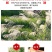 芦根新货芦根无硫芦根水洗芦根自然晾晒品质纯正假一赔十