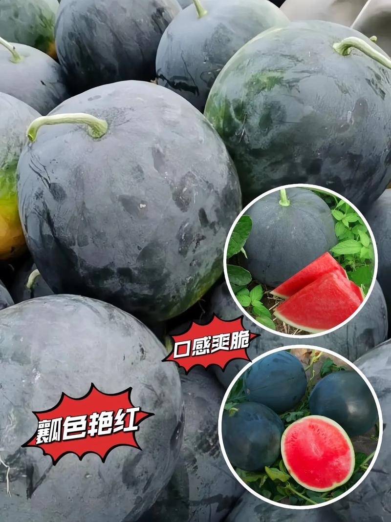 湖北西瓜精品黑无籽西瓜包熟包甜可视频看货耐运输