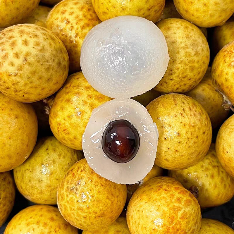 广东高州石硖龙眼当季新鲜水果龙眼