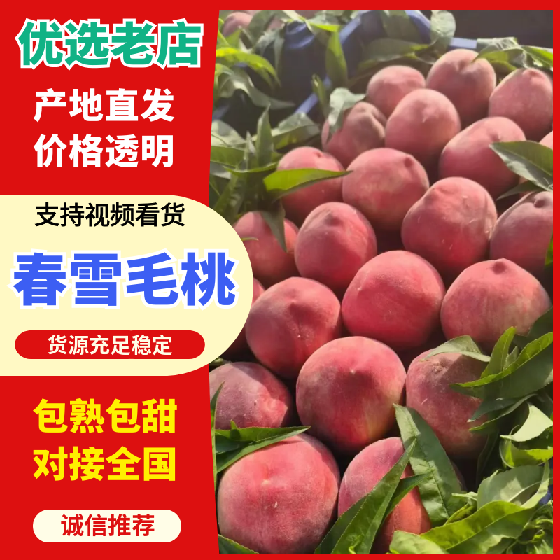 春雪毛桃大量有货，有需要的客商通过一亩田和我联系，好货不