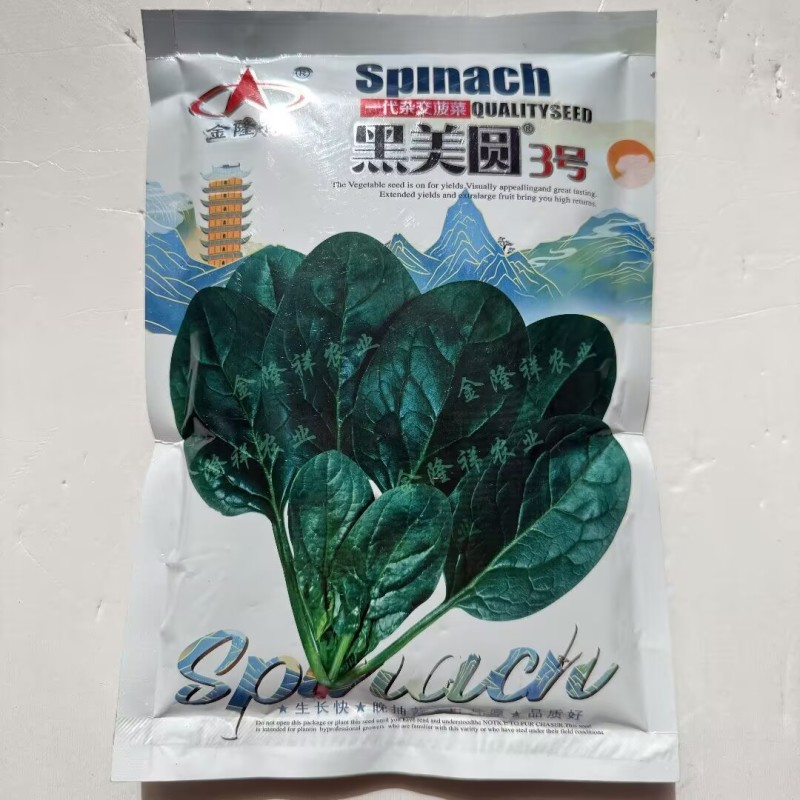黑美圆3号杂交菠菜种子圆叶菠菜种籽高抗霜霉病耐抽苔菜种子