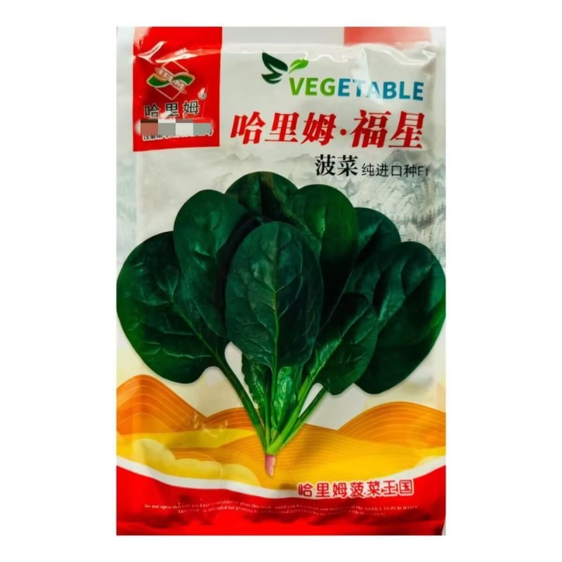 哈里姆福星菠菜种子进口耐热耐寒抗病半圆叶菠菜种子春秋播种