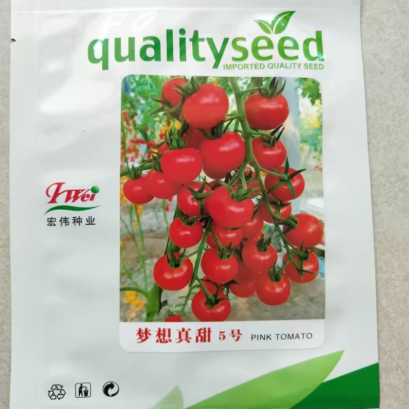 梦想真甜5号小番茄种子无限生长红色樱桃番茄种子糖度高