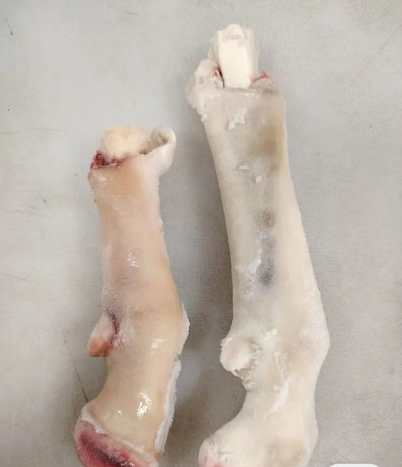 厂家新鲜生羊蹄冷冻羊脚蹄小羊蹄带筋羊蹄山羊蹄子