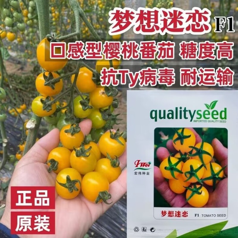 黄色樱桃番茄种子迷恋小番茄种子脆甜多汁圣女果千禧种子