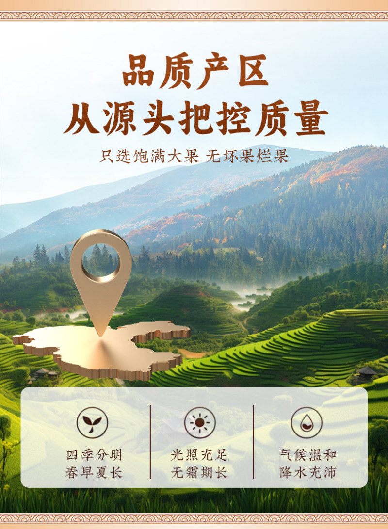 乌梅新货乌梅中药材特级乌梅药用乌梅酸梅汤泡茶原材料无硫