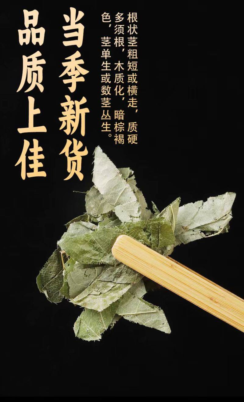 淫羊藿新淫羊藿甘肃淫羊藿纯叶小叶泡水淫羊藿假一赔十