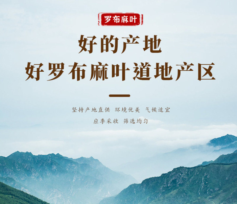 罗布麻叶新罗布麻颜色青干净无杂罗布麻叶大货批发零售