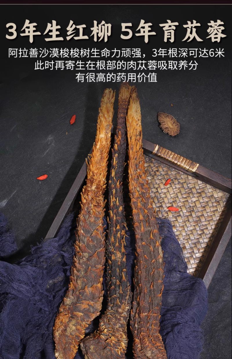 肉苁蓉新肉苁蓉软大芸油性足新疆管花硬大芸内蒙甜大芸批发