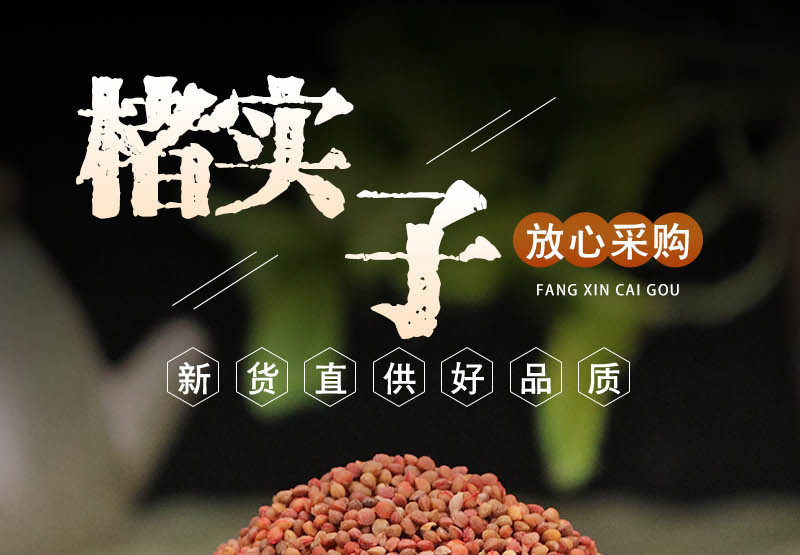 楮实子新货楮实子干净无杂楮实子大货批发零售假一赔十