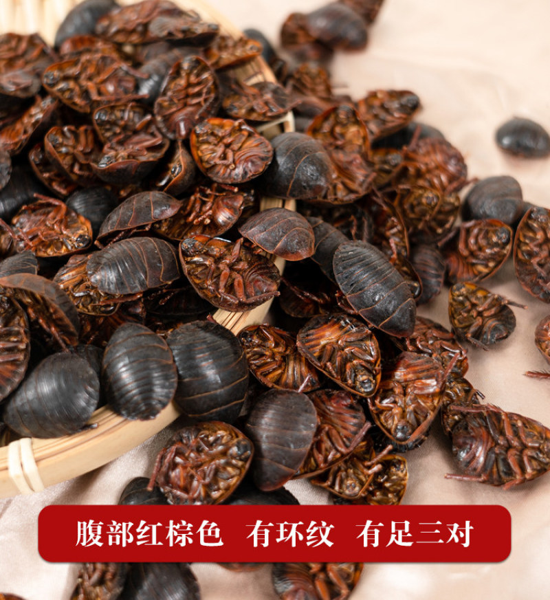 土元新货土元正品土鳖虫过筛过风大货批发零售假一赔十