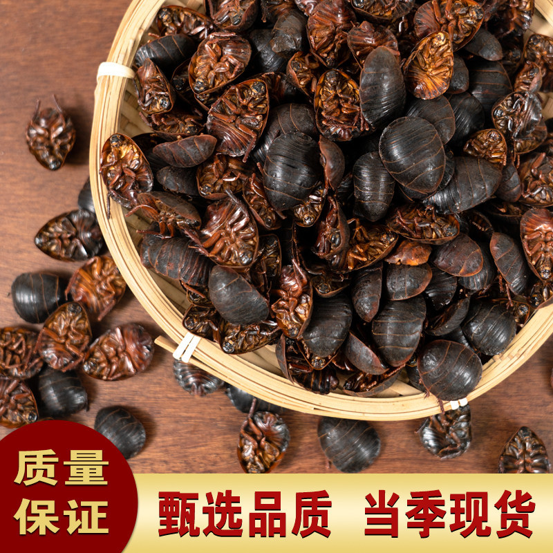 土元新货土元正品土鳖虫过筛过风大货批发零售假一赔十