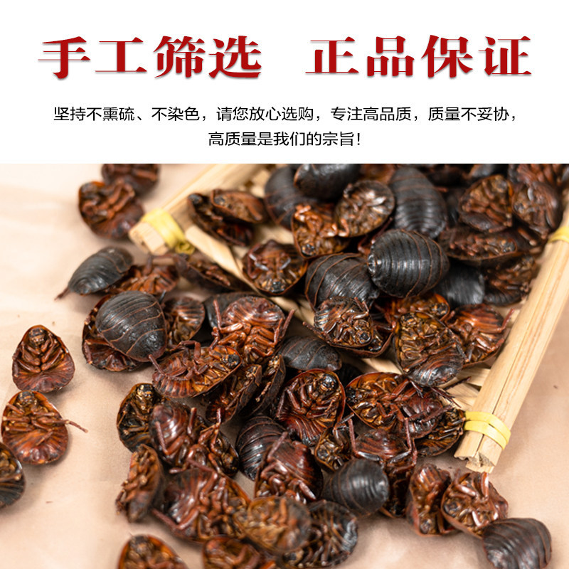 土元新货土元正品土鳖虫过筛过风大货批发零售假一赔十