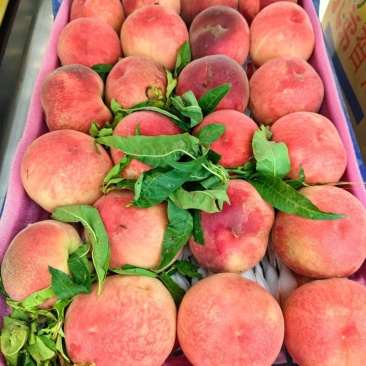 湖北精品毛桃霸王🍑突围桃/产地直发货源充足量大价优