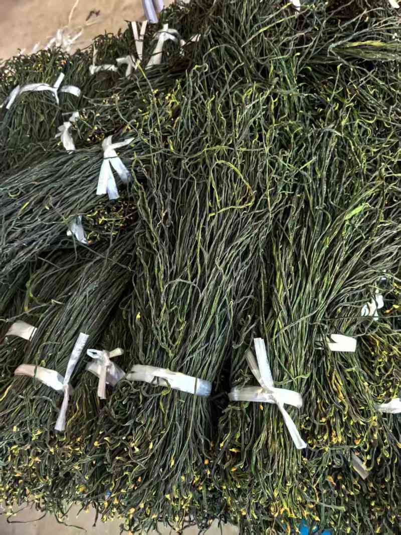烘干绿豇豆电商专用，干度好，颜色正，价格美丽！一手货源