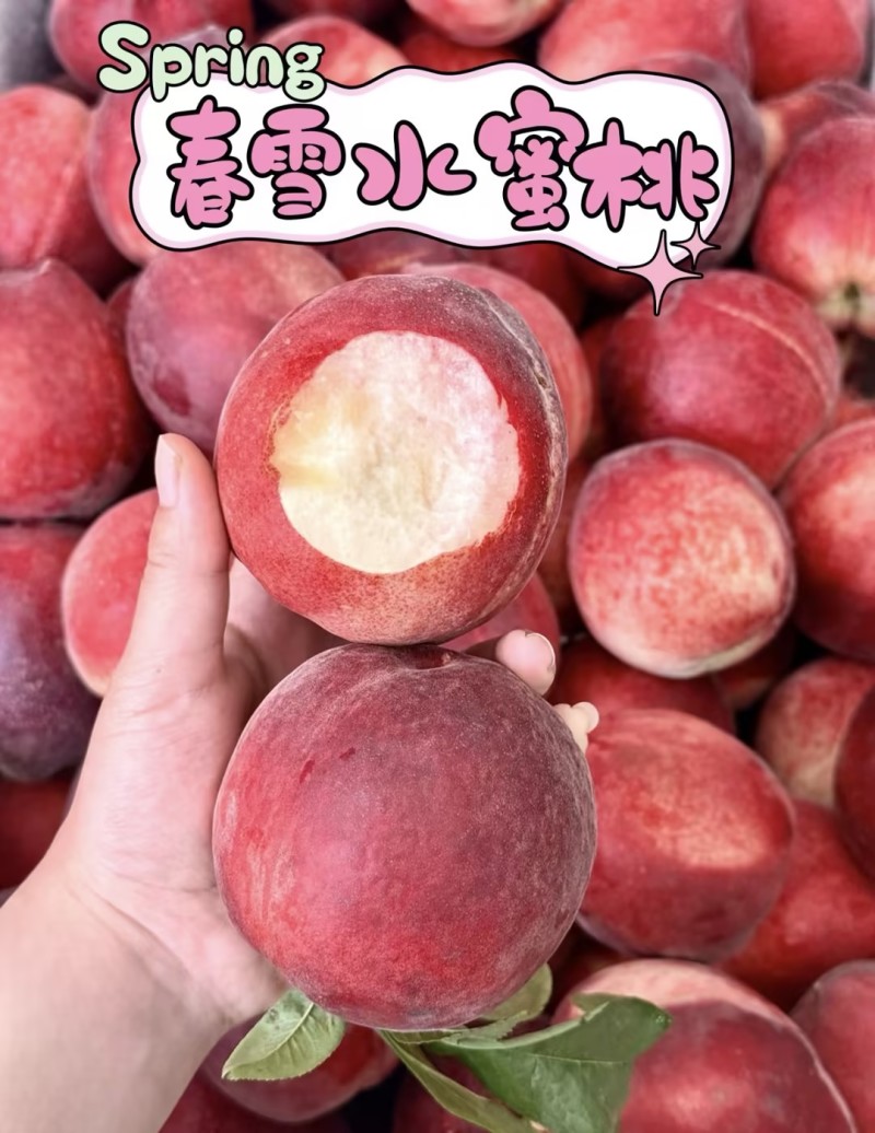 春雪毛桃水蜜桃🍑产地直发量大从优可对接全国电商市场等