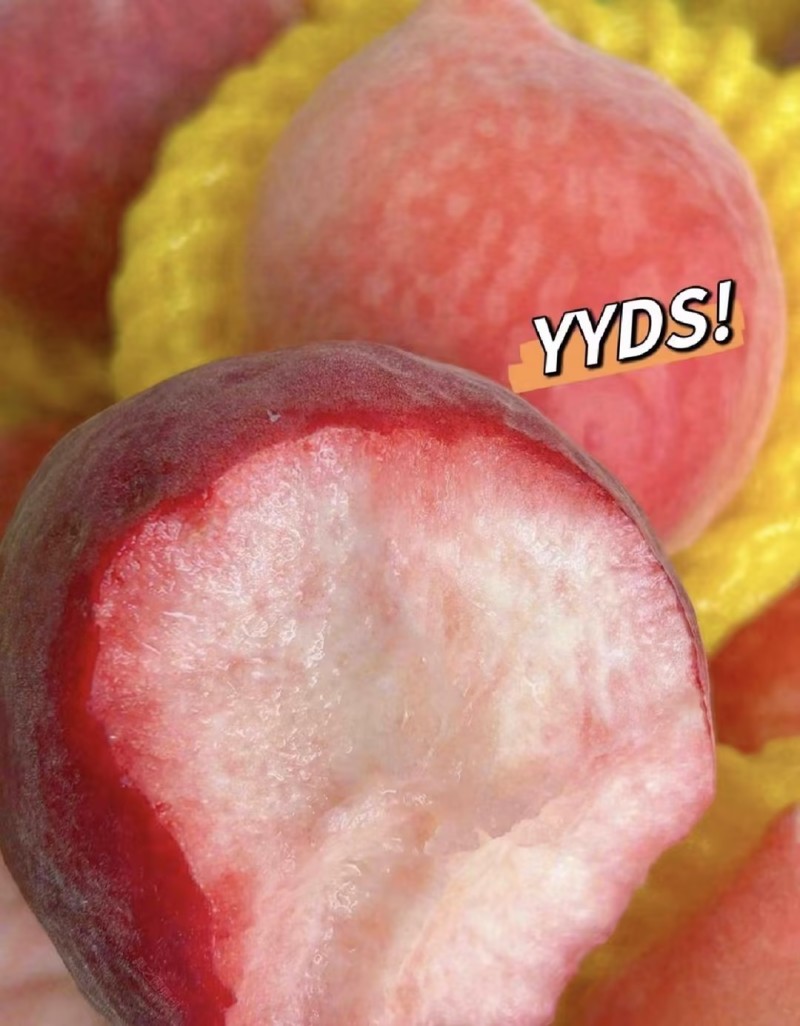 春雪毛桃水蜜桃🍑产地直发量大从优可对接全国电商市场等