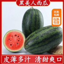 湖北精品黑美人西瓜产地直发货源充足量大价优