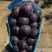 藤稔葡萄乒乓球葡萄🍇几十万斤品质保障可对接全国电商市场