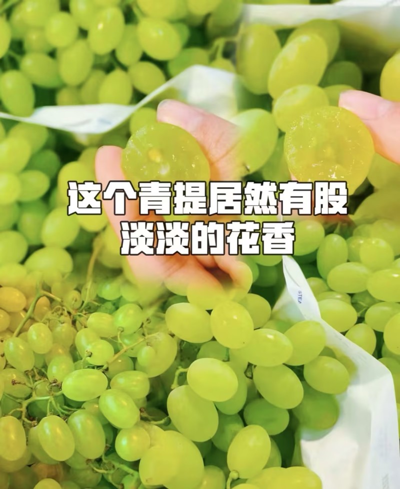 维多利亚葡萄精品青提几十万斤一站式一条龙服务欢迎采购