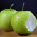 湖北本地精品翠冠玉产地直发货源充足价格便宜欢迎联系