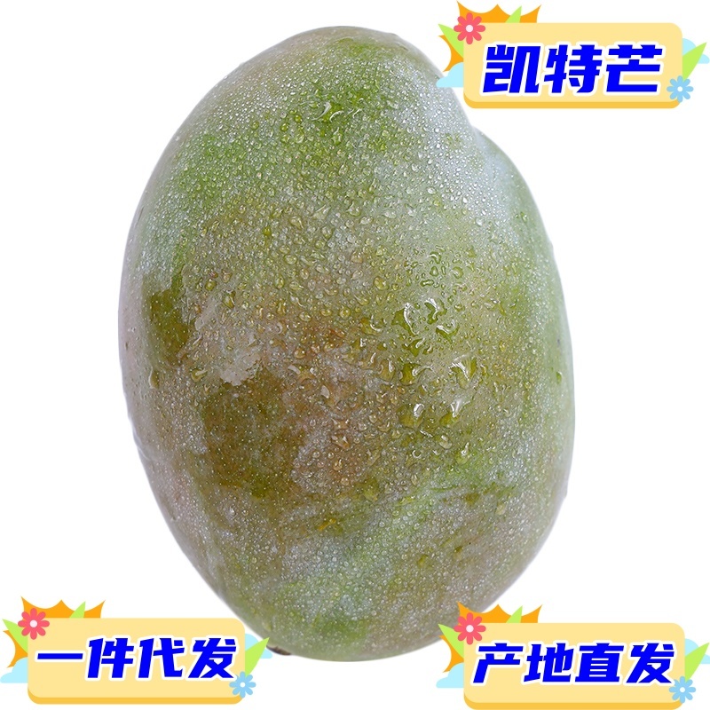 供应链一件代发四川攀枝花凯特芒果供应电商平台直播等